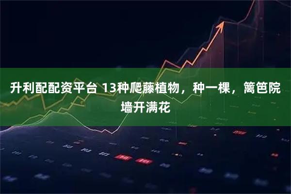 升利配配资平台 13种爬藤植物，种一棵，篱笆院墙开满花